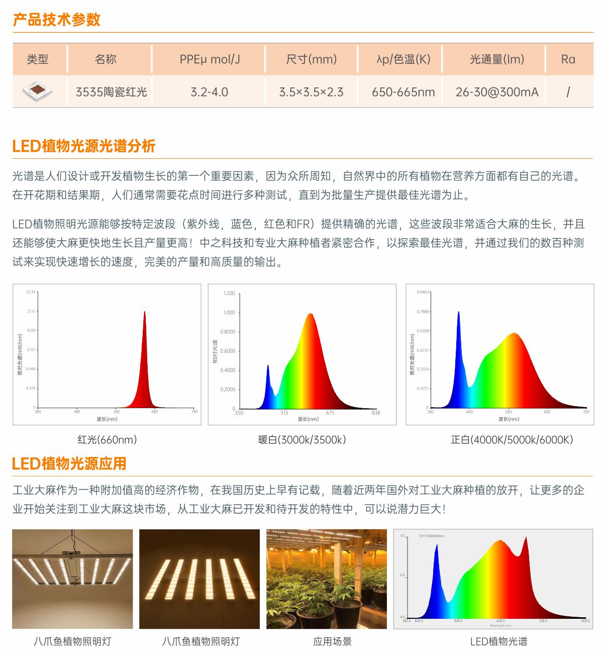 3535紅光
