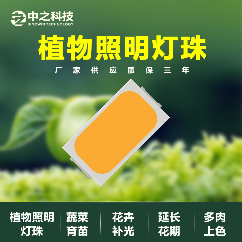 5630雙晶